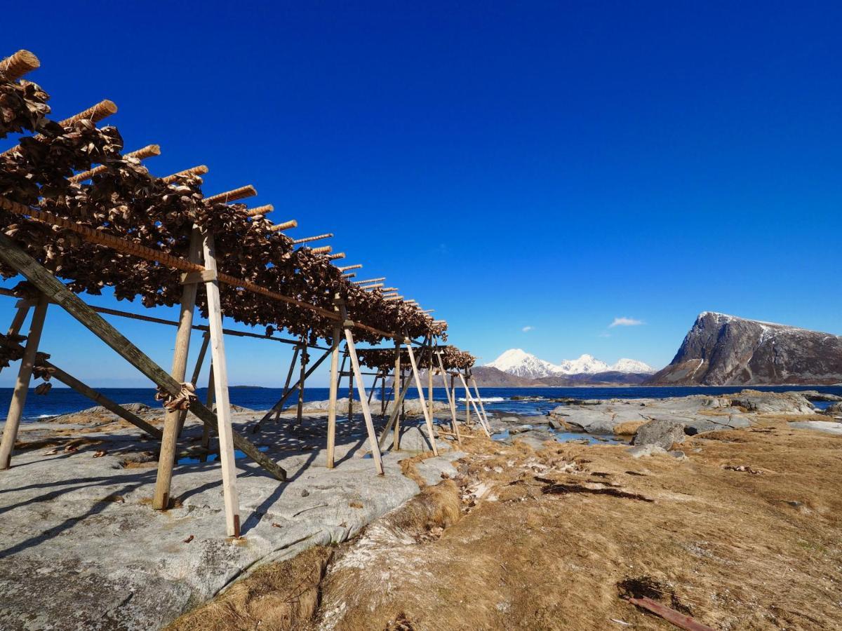 Fishermans Village Lofoten Alstad  ภายนอก รูปภาพ